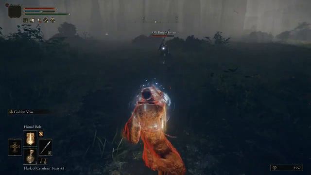 Elden Ring Pure Lightning Damage Only Run; Invader #2: Old Knight Istvan смотреть онлайн