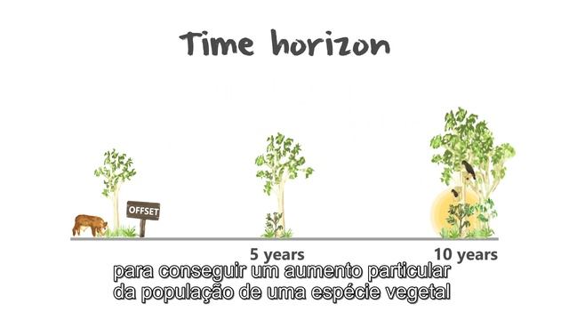 Monitoria e avaliação/Monitoring and evaluation смотреть онлайн