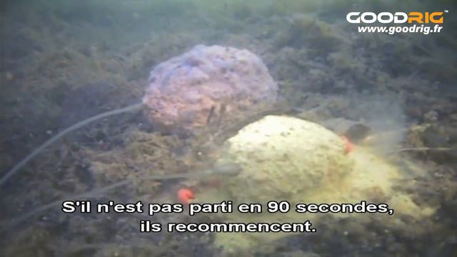 Korda - Pêcher Efficacement Au Method Feeder