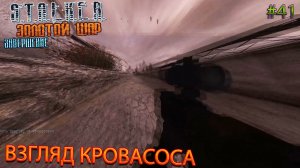 ВЗГЛЯД КРОВОСОСА | S.T.A.L.K.E.R. ЗОЛОТОЙ ШАР ЗАВЕРШЕНИЕ | Серия 41