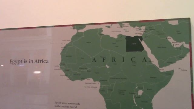 Shedd and Field Museum Free Day Weekend video blog 9 2 2022 смотреть онлайн