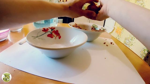 Прикормка гейзер своими руками. Пылящая прикормка.