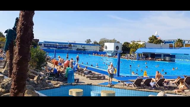 Адлеркурорт Санаторий Дельфин Самый большой в Адлере бассейн с морской водой смотреть онлайн