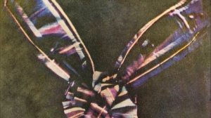 Тема 24. Фотография как вид искусства