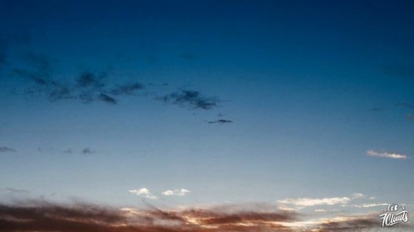 MGMT - Little Dark Age (Lyrics)