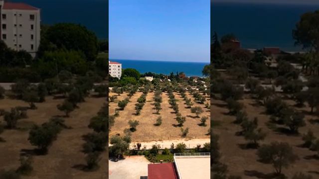 Турция Мерсин Тедже 🇹🇷Квартира 1+1 с мебелью у моря 🏖️ Цена 300.000 лир 🇹🇷 16.725 млн тг🇰🇿 40.000💰 смотреть онлайн