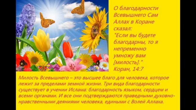 25 декабря 2020 Благодарность имеет волшебную силу! смотреть онлайн