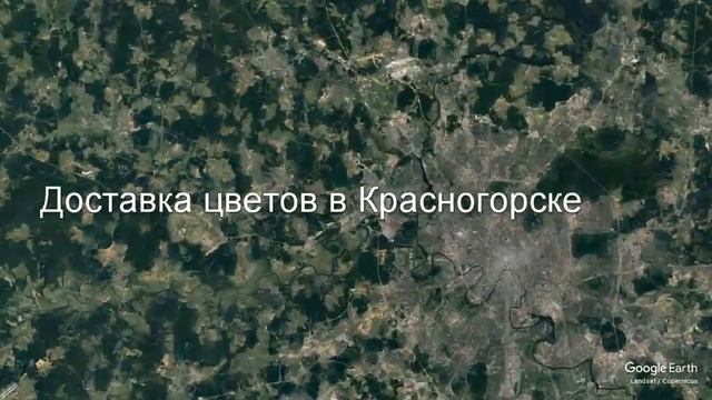 Доставка цветов в Красногорске - Заказ букетов от компании Скорая подарочная помощь смотреть онлайн