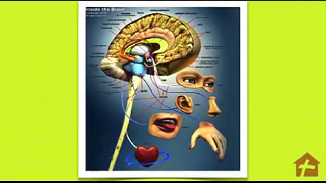 Кэролайн Лиф (Семинар) "Как обновить мышление" (Часть 2/6) смотреть онлайн