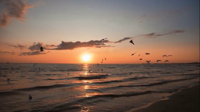 Alpha Waves, Increase Brain Power, Enhance Intelligence, Study Music, Binaural Beats, Improve Memor смотреть онлайн