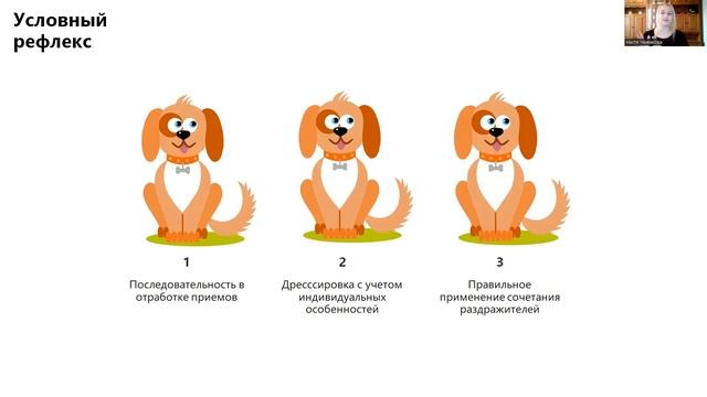 Анастасия Чижикова "Самые частые вопросы зоопсихологу от волонтеров" смотреть онлайн