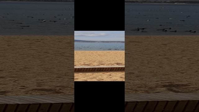 февраль в Геленджике. смотреть онлайн