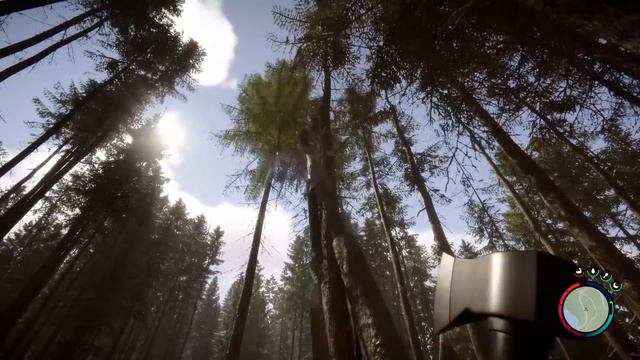 Sons of The Forest But It's Peacefully Building a Greenhouse смотреть онлайн