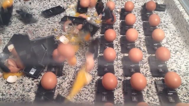 Egg Mouse Trap Chain Reaction: Nuclear Fission Eggsample смотреть онлайн