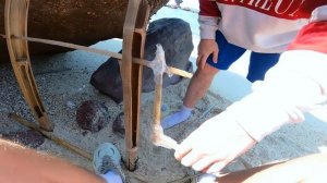 Остались НАВСЕГДА на НЕОБИТАЕМОМ ОСТРОВЕ!!!! *День 10*