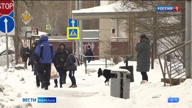 В Сегеже начали стерилизовать бездомных собак смотреть онлайн