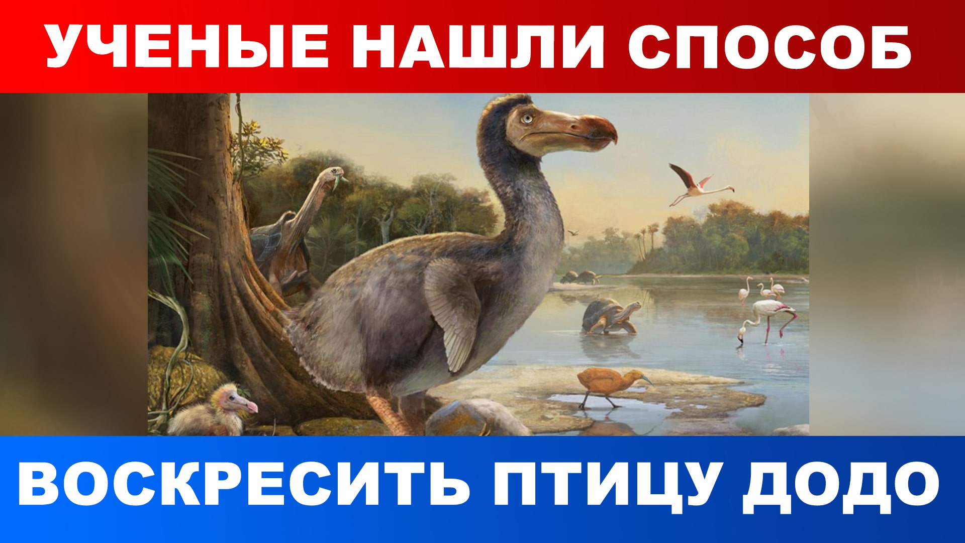 Ученые нашли способ воскресить птицу додо смотреть онлайн