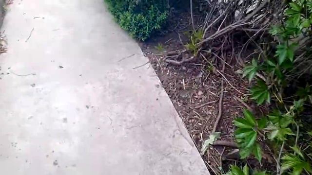 Ява 638 без глушителей. смотреть онлайн