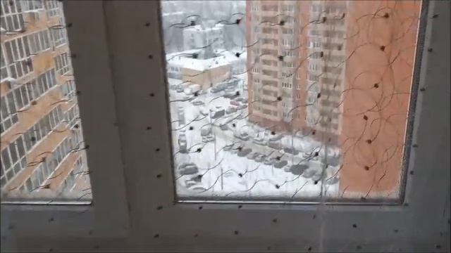 Влог/ Немного шопинга/Лучше бы остались в коммуналке.../