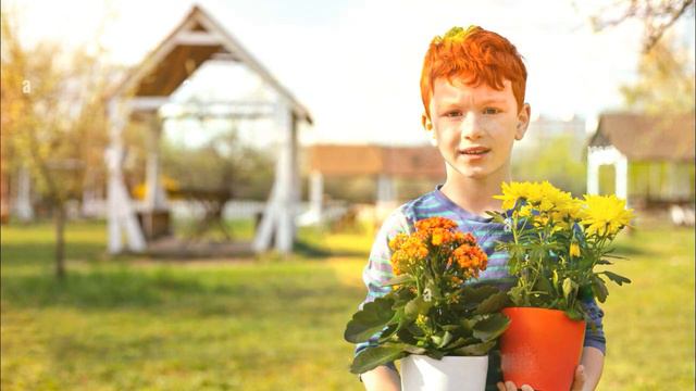 Red-haired boy (Guitar, tambourine and Irish flute) смотреть онлайн