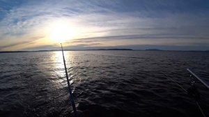 Рыбалка в КАРЕЛИИ на ПЯОЗЕРЕ!!! КУМЖА - РЫБАКИ:5-0!!!