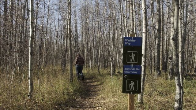 Beaverhill Bird Observatory смотреть онлайн