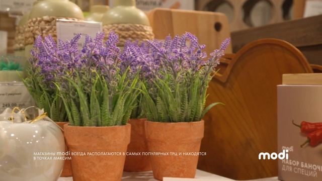 Франшиза Modi