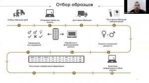 Геномная оценка КРС