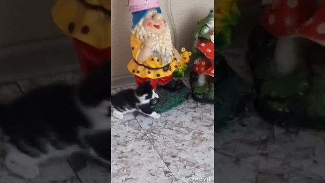 ☆☆☆☆☆Сегодня ровно месяц моим питомцам.Пасхальные котята☆☆☆☆☆ смотреть онлайн
