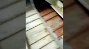 Обзор лодки Днепр