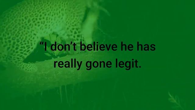 Idiom Meanings: A Leopard Can't Change Its Spots смотреть онлайн