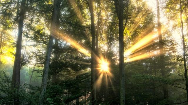 Энергетический взаимообмен. Решающая роль в Переходе.