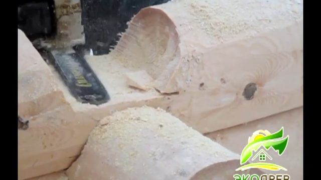 Ручная рубка срубов из бревна. "ЭкоДрев" смотреть онлайн