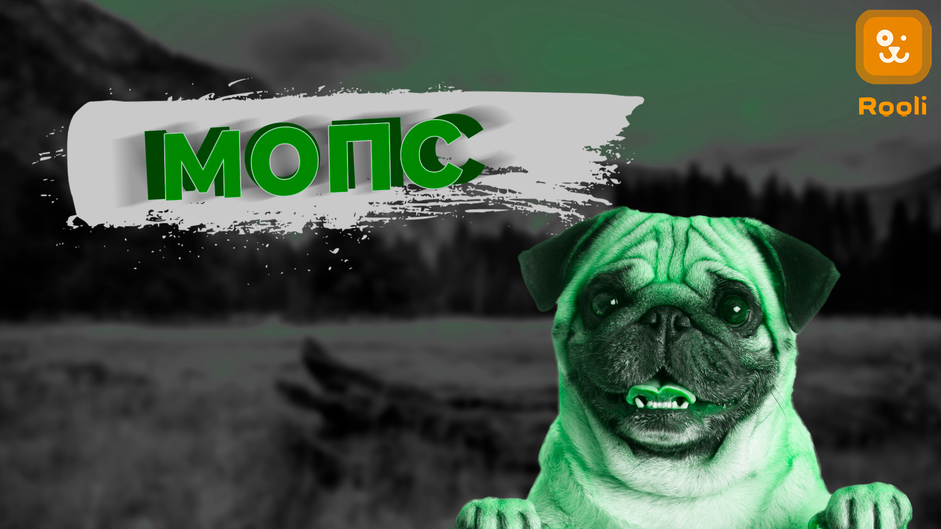 Мопсы: Характер и Особенности породы смотреть онлайн