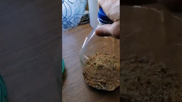 Кормушка для цыплят своими руками, лучше покупной ??!!! смотреть онлайн