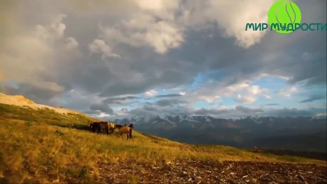 Что значит делать свое полезное дело?! ОШО Философия Переннис аудиокнига смотреть онлайн