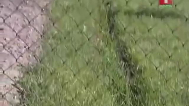 Выгребная яма смотреть онлайн