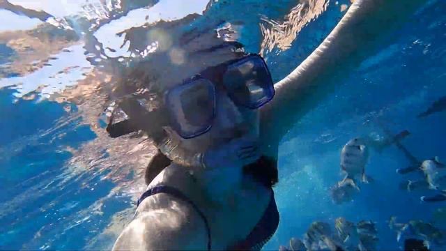Погружение с аквалангом в Хургаде, Египет 2023 смотреть онлайн