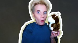 БИТБОКС БАТЛ С ХОМЯКОМ — ОТКУДА МЕМ?