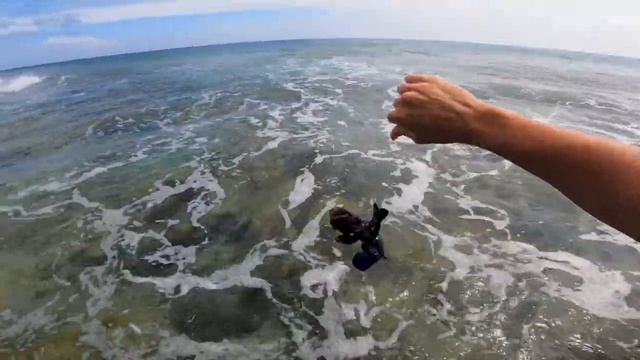 EXPLORING THE COOK ISLANDS FISHING AND FREEDIVING (RAROTONGA) PT1 смотреть онлайн