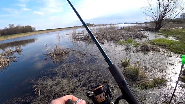 Первые весенние караси. Открытие сезона. смотреть онлайн