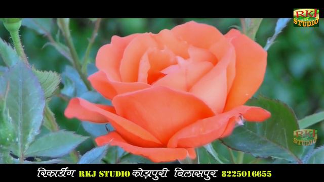 kamalesh diwana !! New Cg Video Song !! कतना दीन बाद म आबे !! स्वर - कमलेश दीवाना !! RKJ 2022 смотреть онлайн