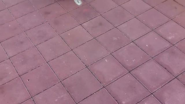 Ребенок пишет красиво все числа до 100 смотреть онлайн