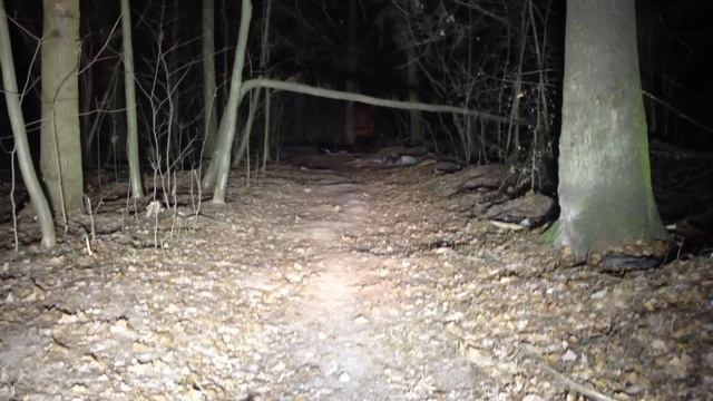 Prolight EVO Prime смотреть онлайн