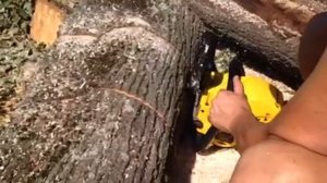 Бензопила чемпион 256