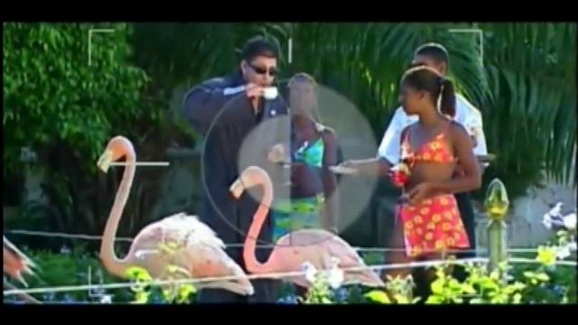 Misho Shamara A.k.a Big Sha &  Ванко 1 - Все още съм замесен