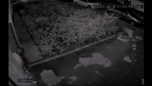 Вор Года !!!! смотреть онлайн