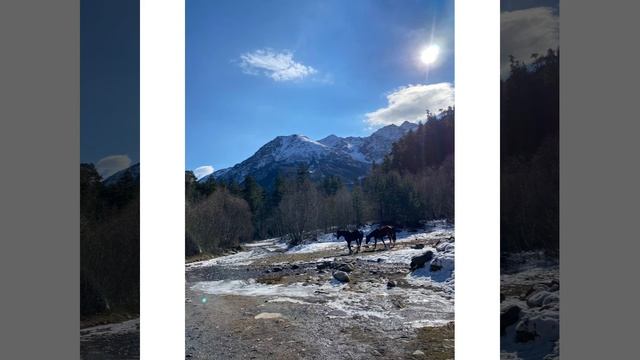 Белый шум #шумводы#белыйшум#шумреки#шумморя#звукиприроды#горнаярека#звукиводы