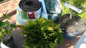 Устройство клумбы и миксбордера своими руками с нуля