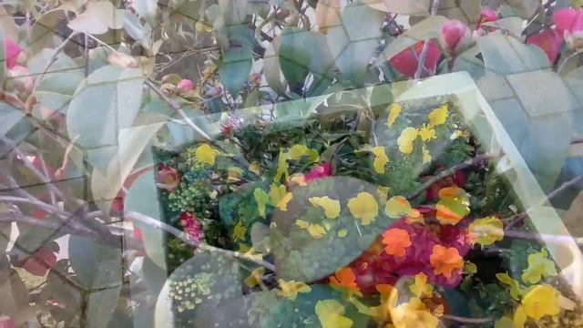 ПОДАРОК ВСЕМ ЖЕНЩИНАМ В МАРТЕ! смотреть онлайн